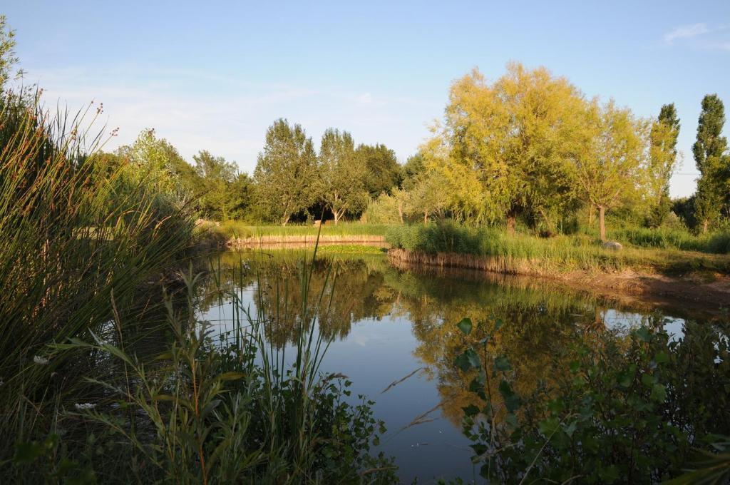 Domaine De La Begude Hotel Fayence Ruang foto